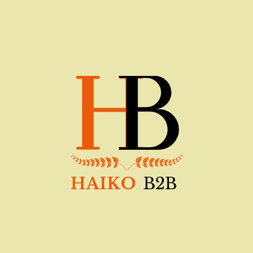 HAIKO B2B